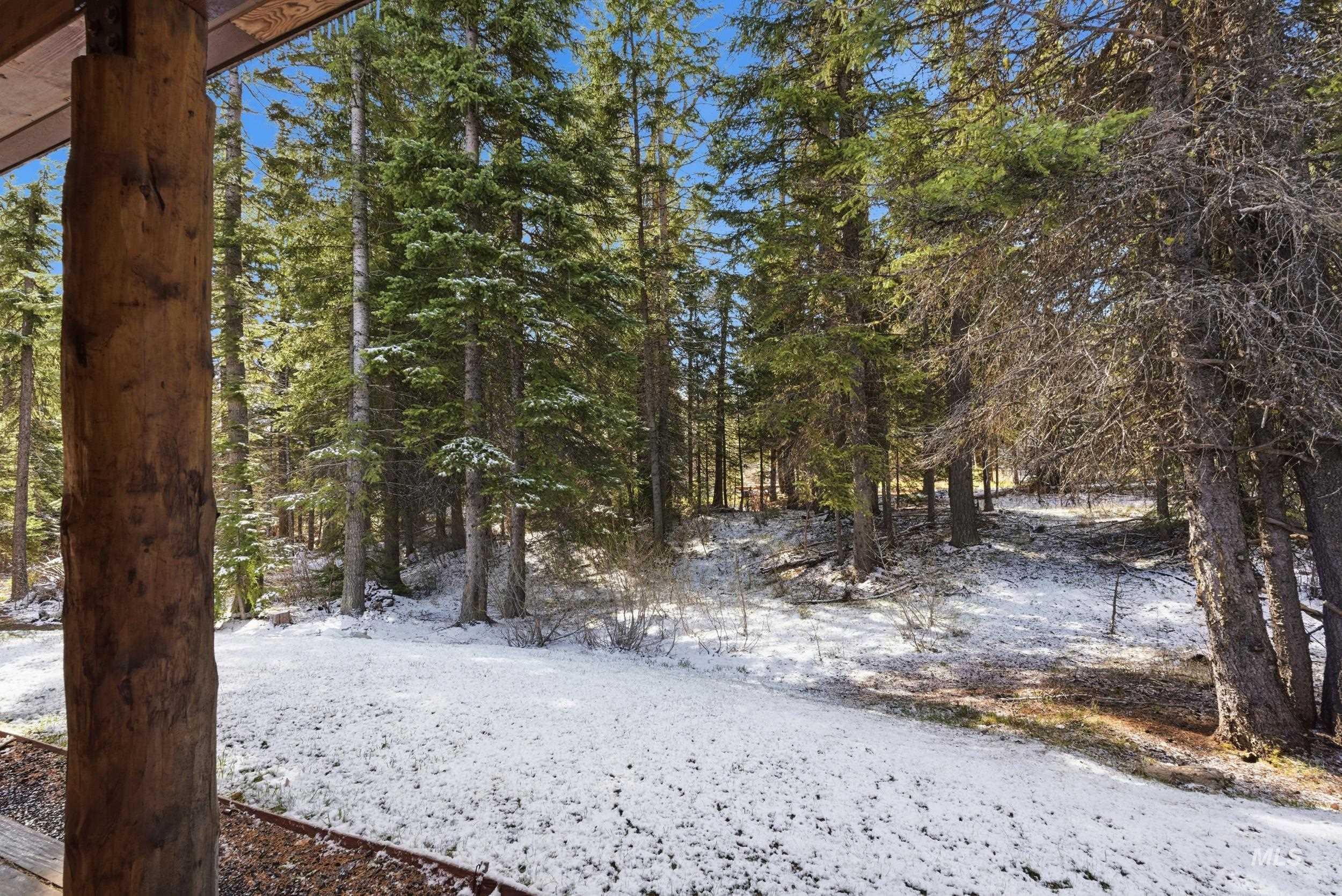 2538 West Mountain Road Donnelly, ID 83615 - Photo 28 of 50 Woodland setting featuring mature evergreen trees and natural ground cover