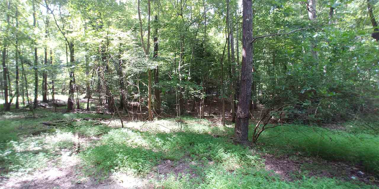 10017 Sycamore Road Raleigh, NC 27613 - Photo 8 of 9 Photo 8