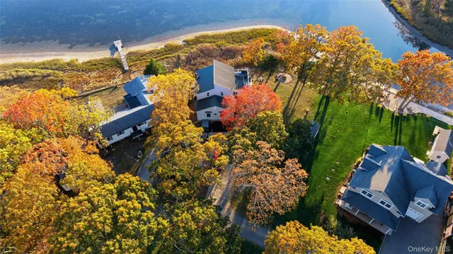 a view of a yard with plants and wooden fence