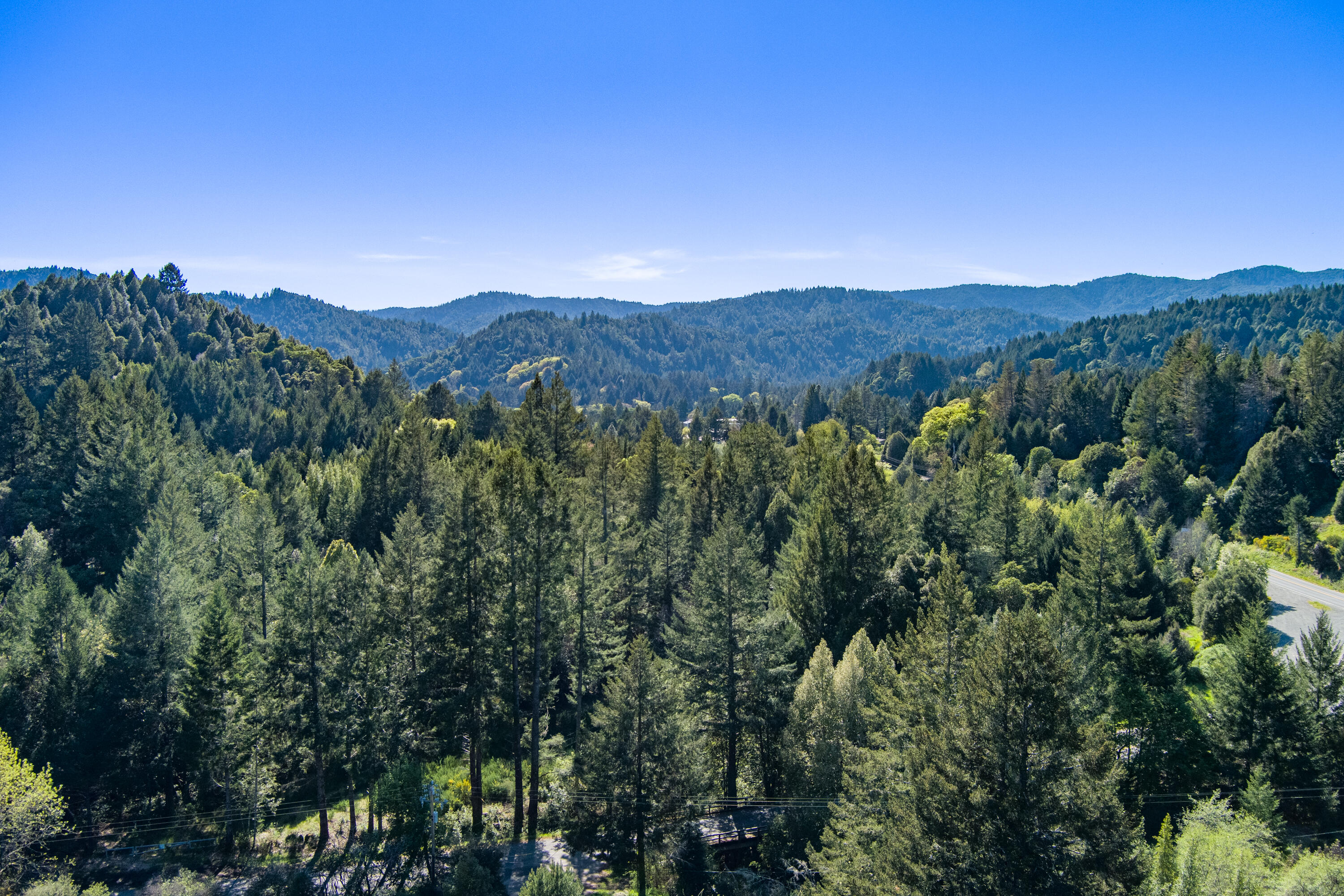 12600 Briceland Road Whitethorn, CA 95589 - Photo 65 of 111