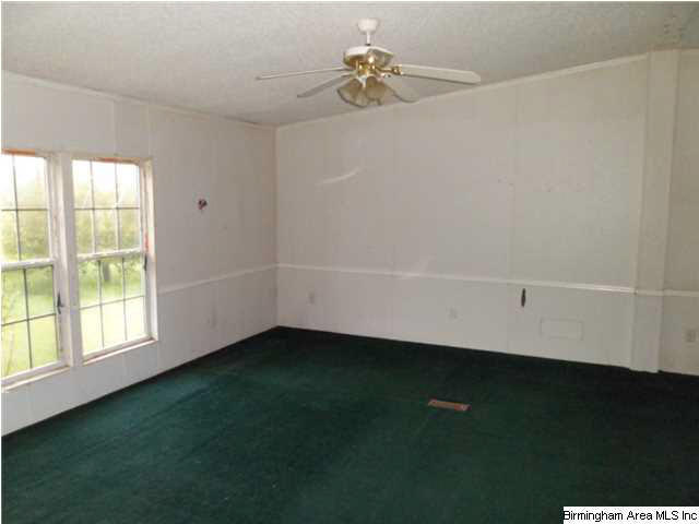 1600 Ray Wyatt Road Ashville, AL 35953 - Photo 10 of 17