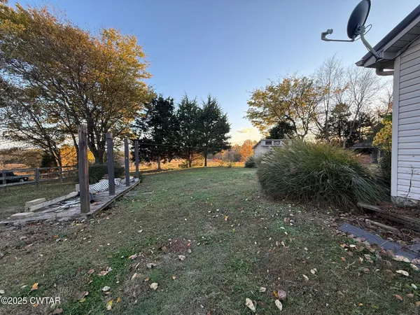 a view of a tree in the middle of a yard