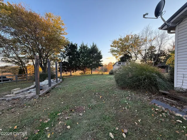 a view of a tree in the middle of a yard