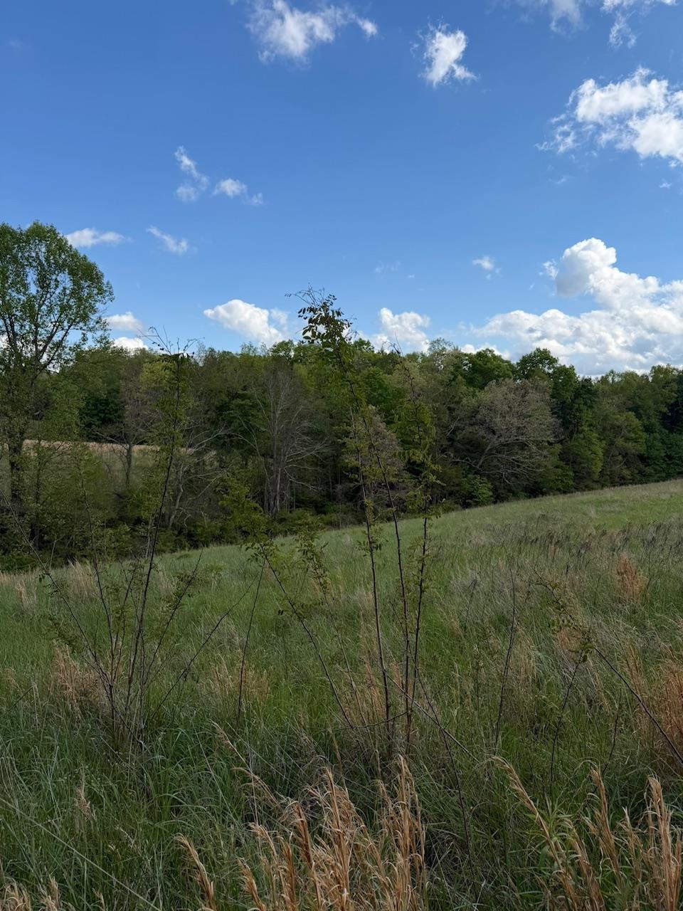 2395 Stringtown Road Sandy Hook, KY 41171 - Photo 7 of 13