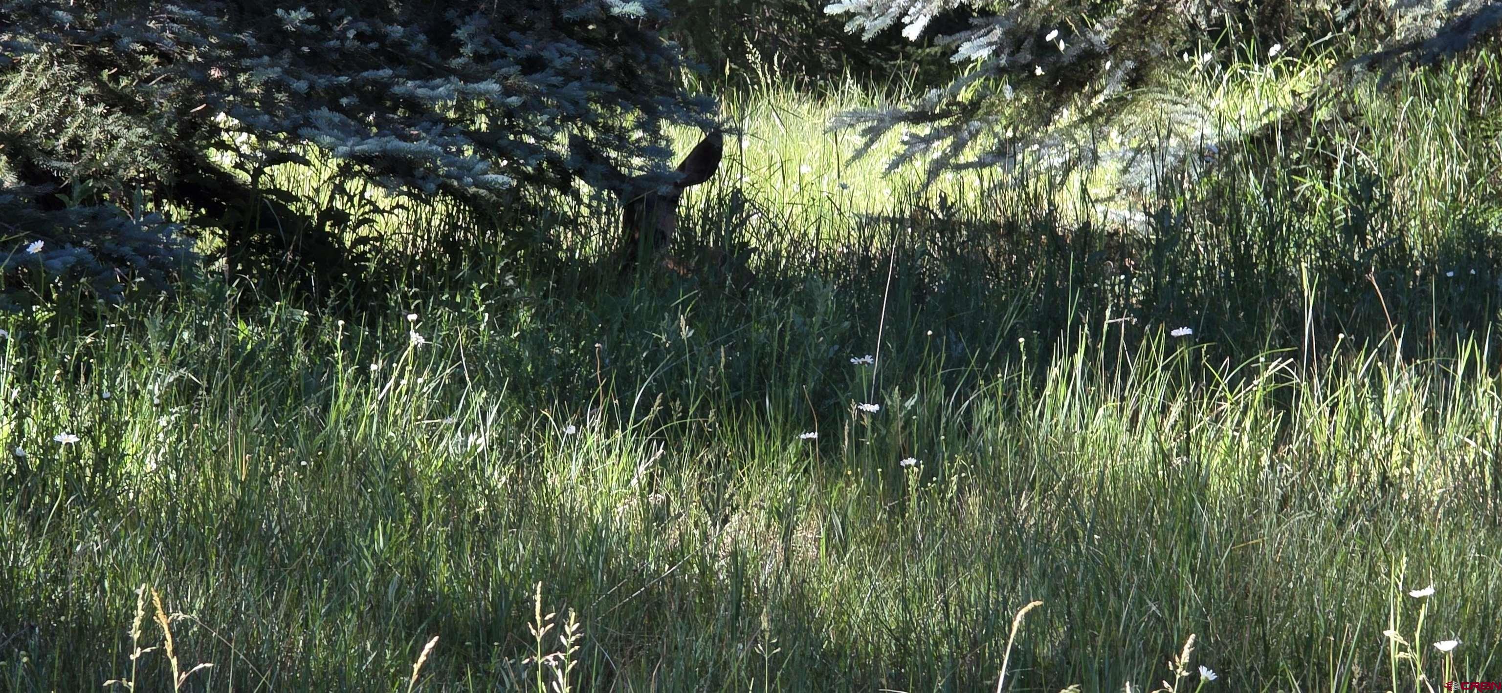 201 Golden Forest Road Bayfield, CO 81122 - Photo 22 of 37