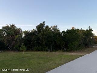 5301 Sandra Drive Weeki Wachee, FL 34607 - Photo 1 of 1 Gallery Image 1