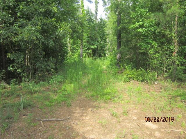 0 Pylant Crossing Road Thomson, GA 30824 - Photo 1 of 6 Main View