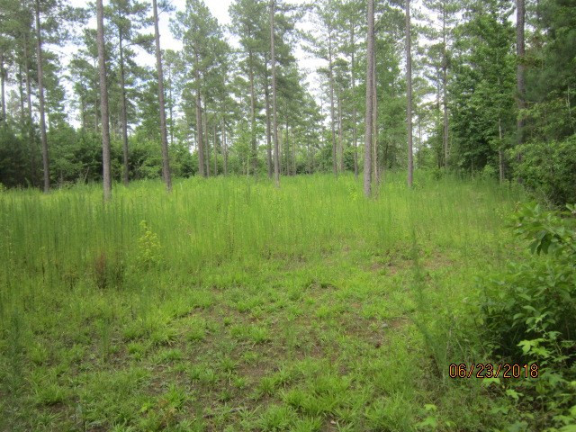 0 Pylant Crossing Road Thomson, GA 30824 - Photo 3 of 6 Gallery Image 3