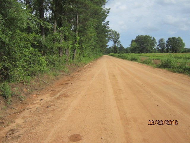0 Pylant Crossing Road Thomson, GA 30824 - Photo 5 of 6 Gallery Image 5