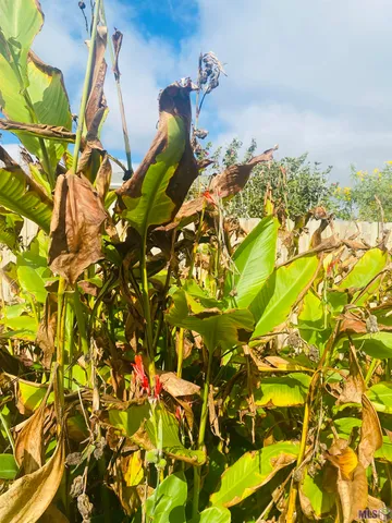 $315,000 | 7013 Glenn Street, Metairie, LA 70003