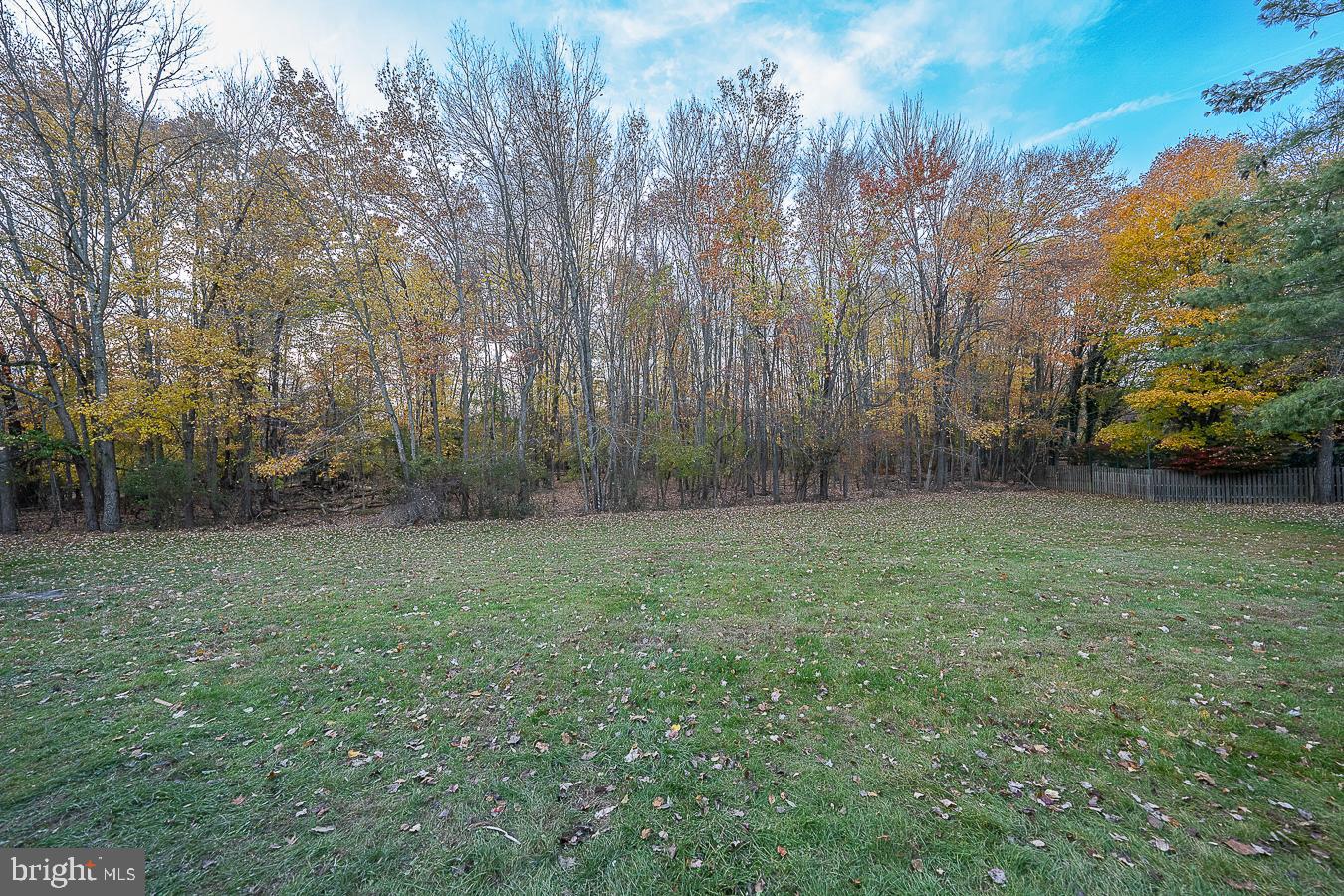 403 Chester Road Devon, PA 19333 - Photo 32 of 35 View of flat back yard