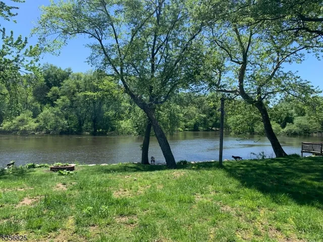a view of a lake in a forest