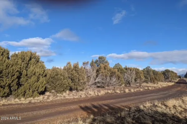 a view of a road with a snow in the background