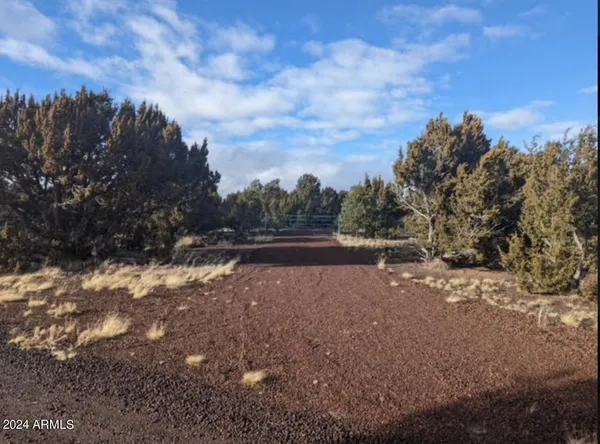 a view of outdoor space and yard