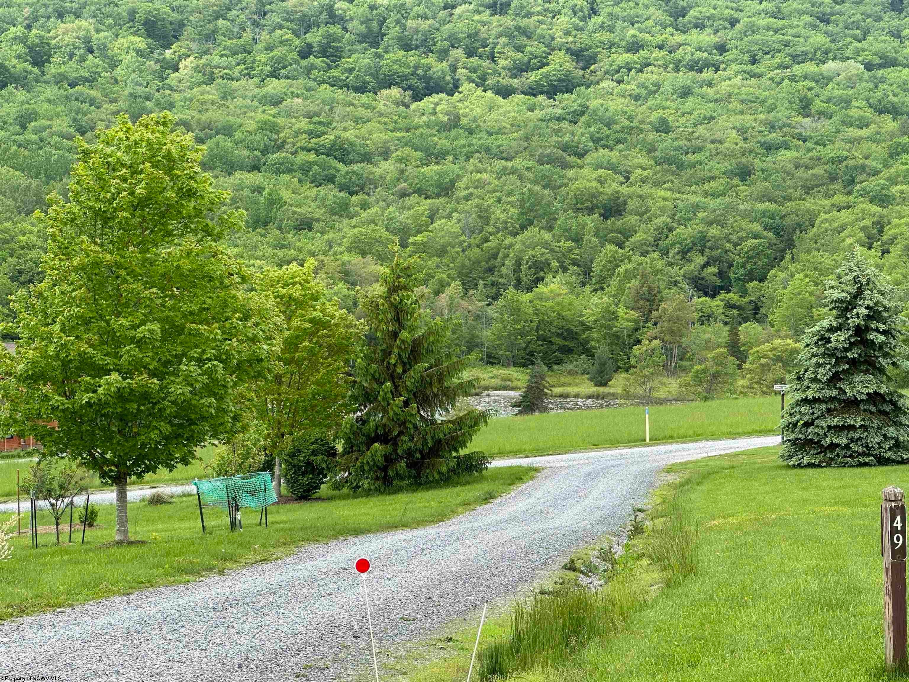 Lot 59 View Ridge Davis, WV 26260 - Photo 8 of 19 Gallery Image 8