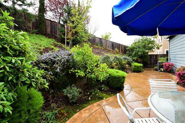 1175 Arrowfield Way San Ramon, CA 94582 - Photo 27 of 27 a view of a backyard with potted plants
