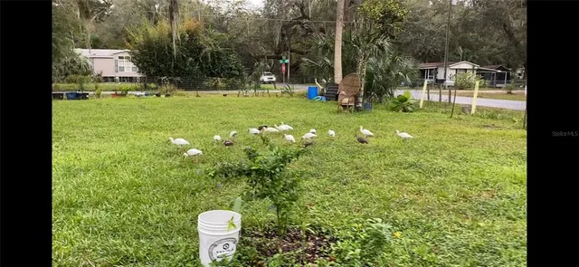 $95,000 | 2805 County Road 423, Lake Panasoffkee, FL 33538