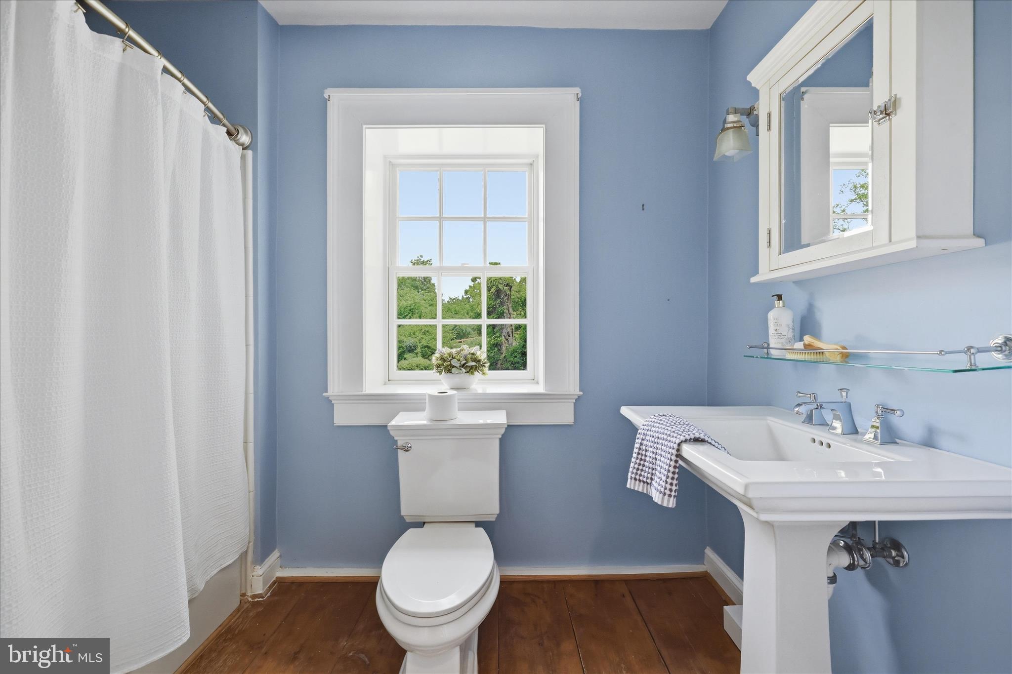 10919 Etzler Mill Road Woodsboro, MD 21798 - Photo 29 of 54 a bathroom with a sink toilet and a mirror