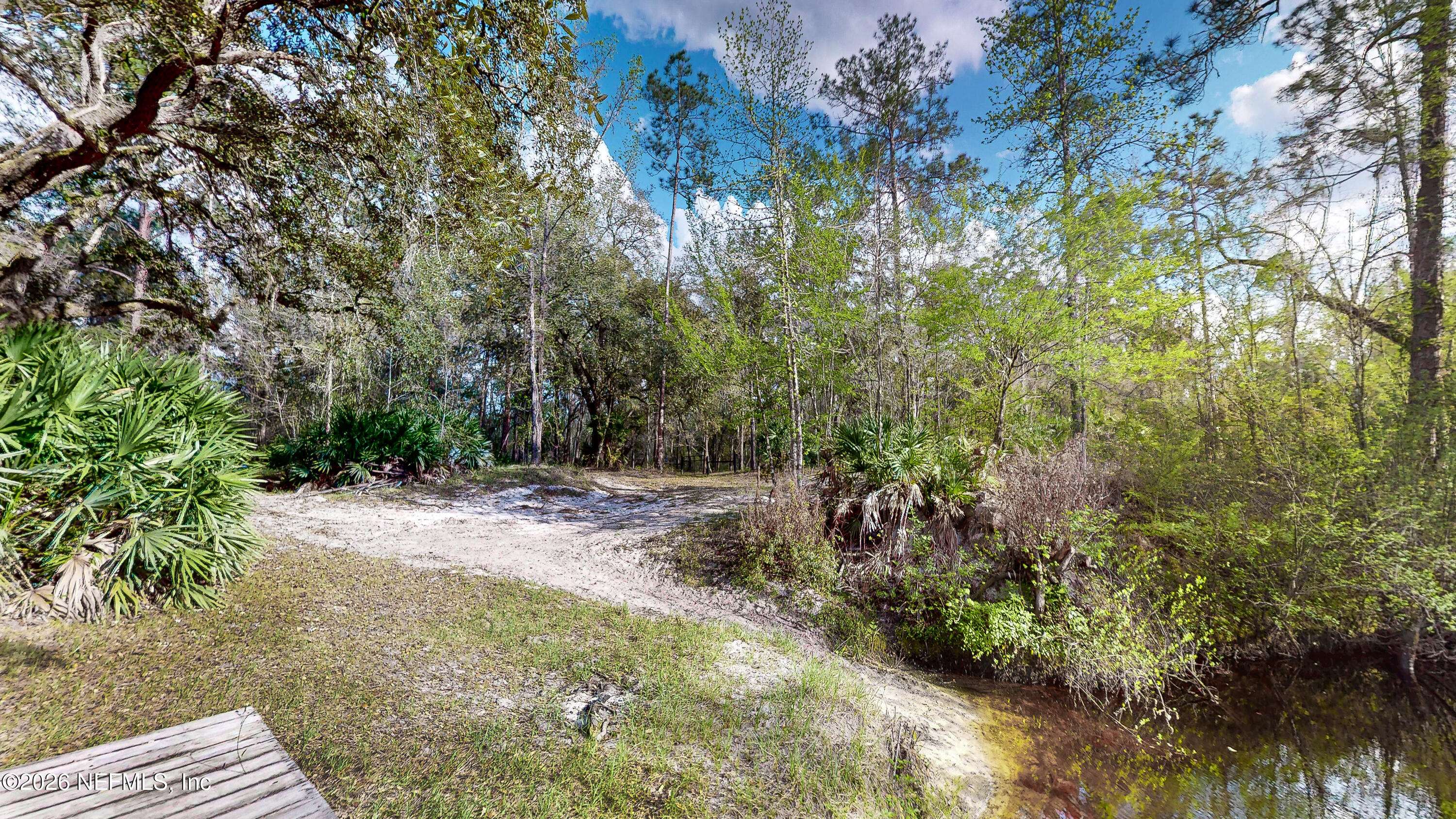 4333 Hawk Haven Road Middleburg, FL 32068 - Photo 26 of 51 a view of a yard with plants and a large tree