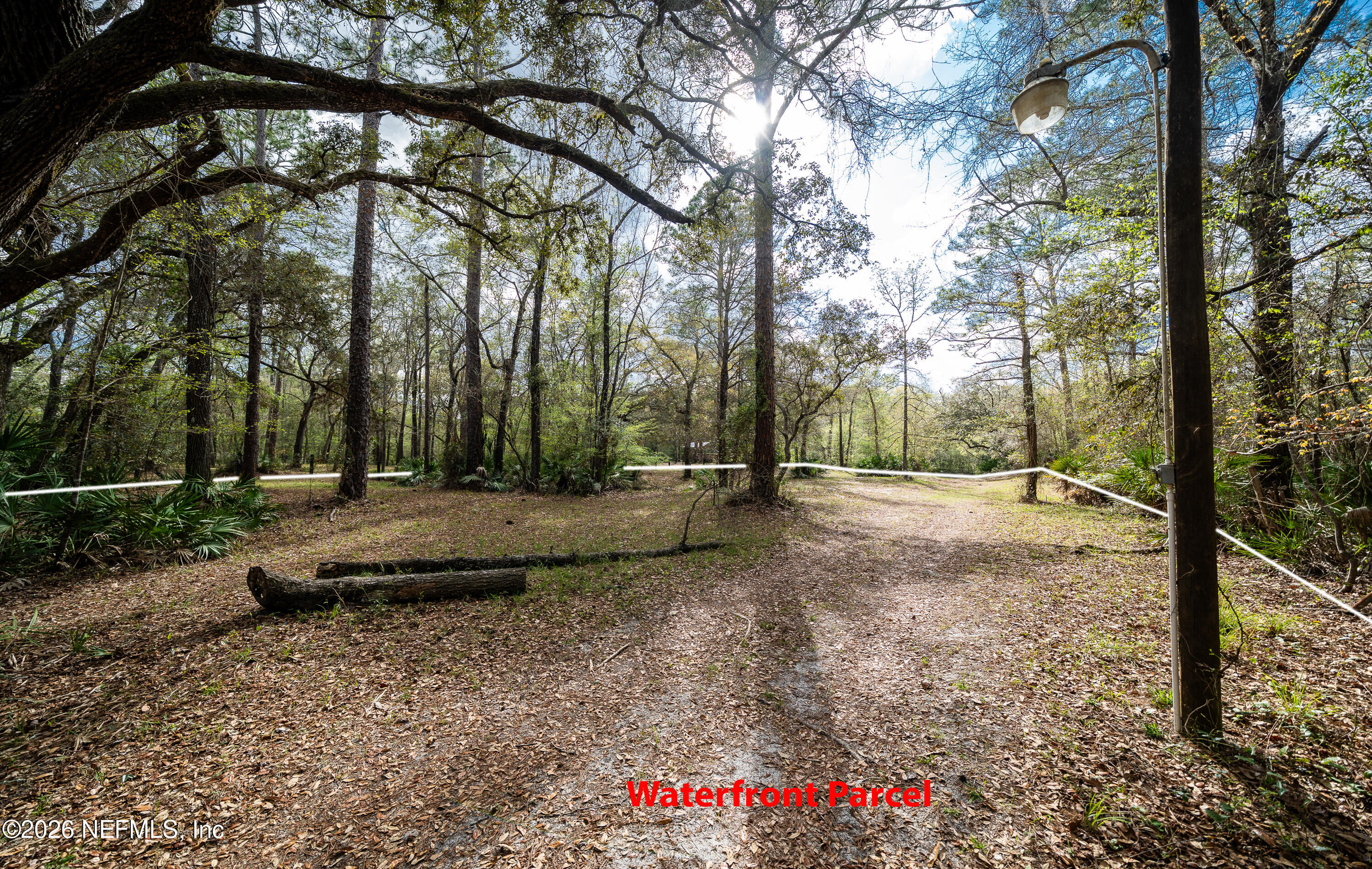 4333 Hawk Haven Road Middleburg, FL 32068 - Photo 41 of 53 a view of a park with large trees