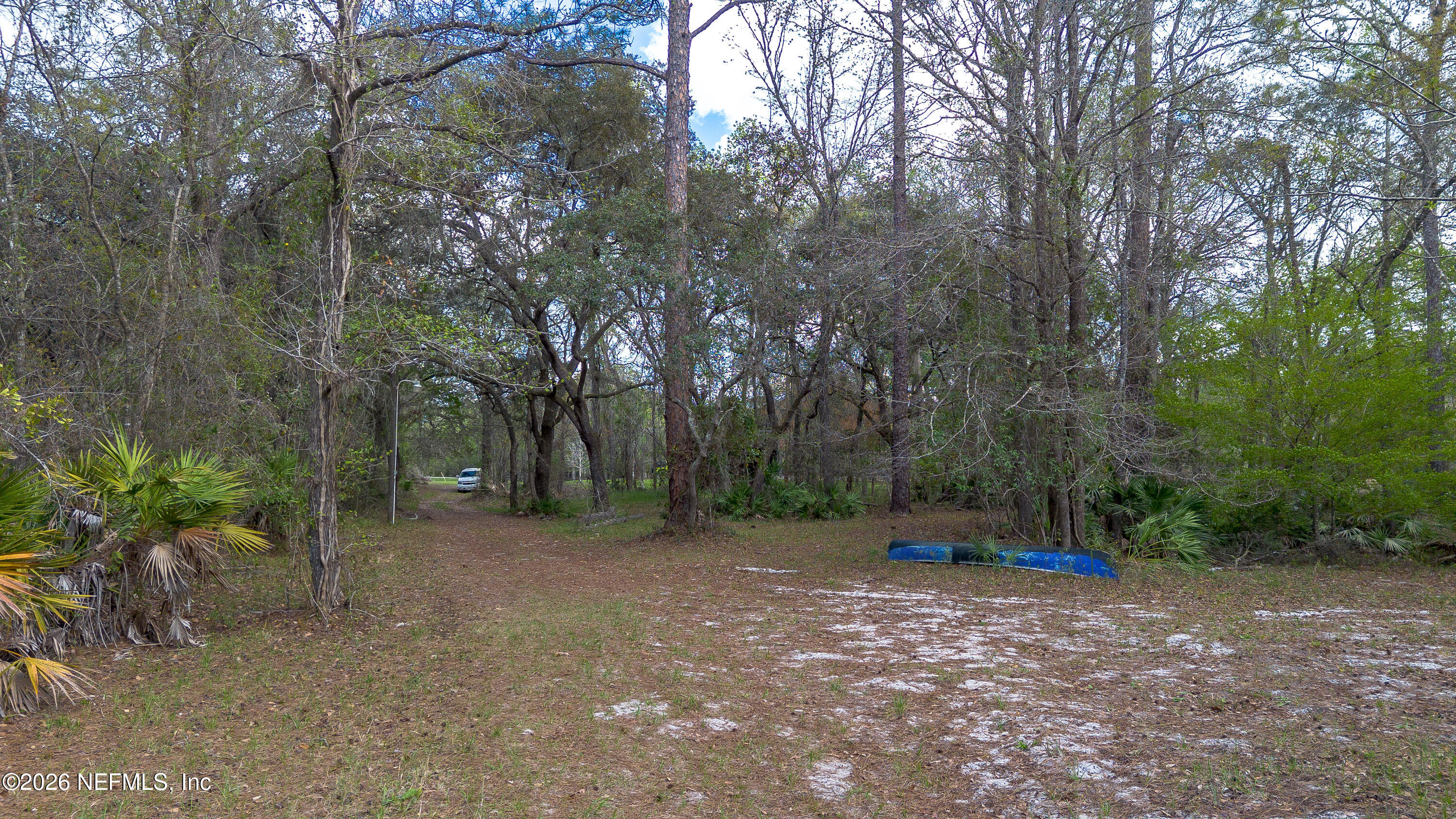 4333 Hawk Haven Road Middleburg, FL 32068 - Photo 49 of 51 a backyard of a house with lots of green space