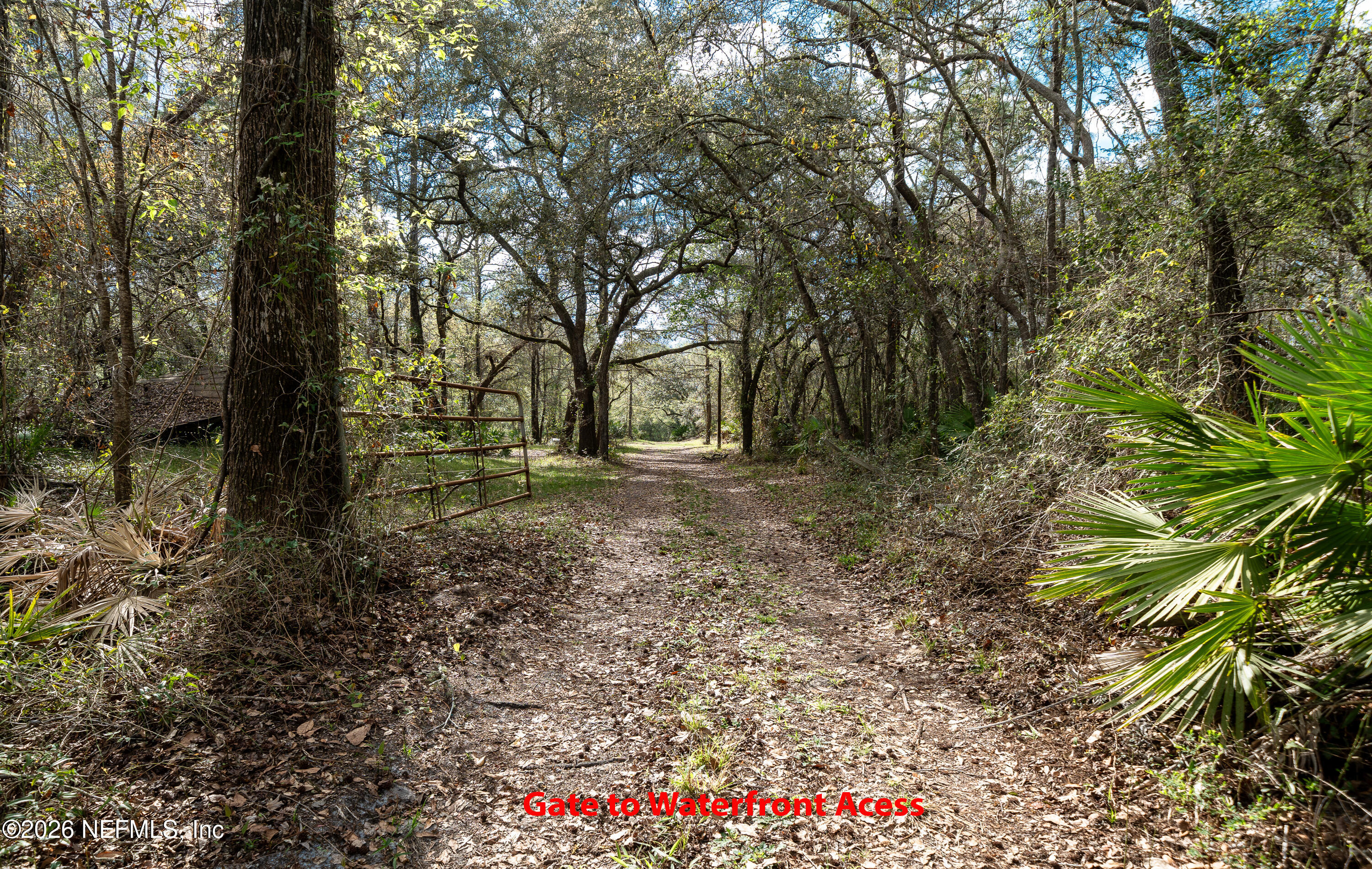 4333 Hawk Haven Road Middleburg, FL 32068 - Photo 6 of 53 Ext Gate to Waterfront