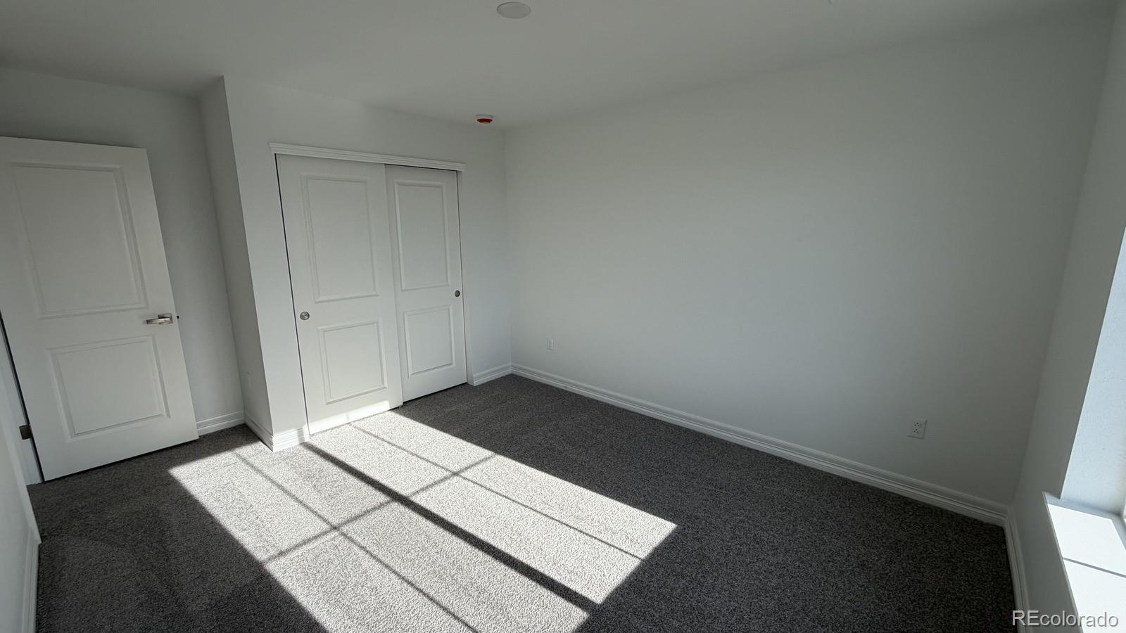 6120 Oban Road Timnath, CO 80547 - Photo 16 of 31