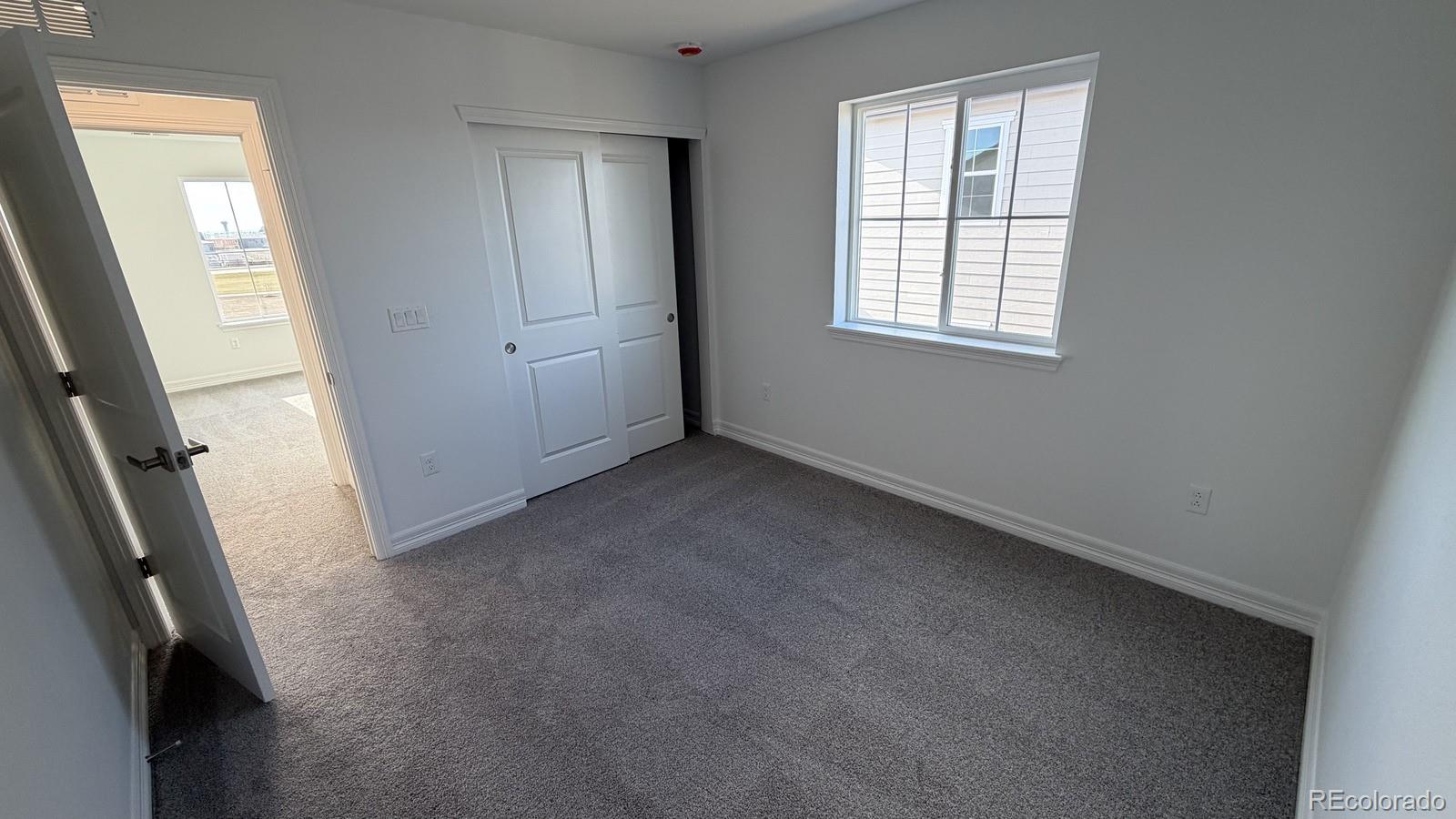 6120 Oban Road Timnath, CO 80547 - Photo 18 of 31