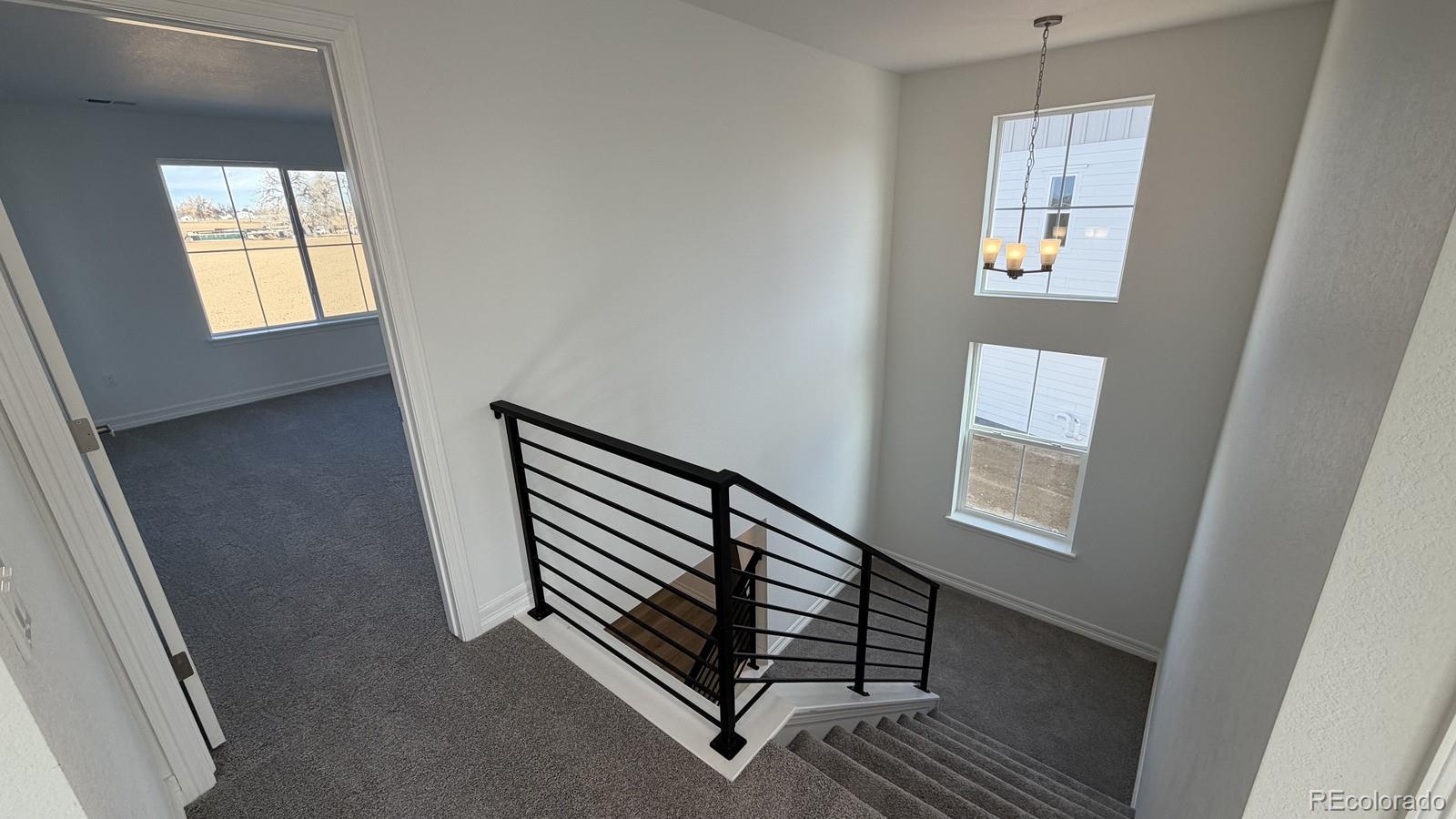 6120 Oban Road Timnath, CO 80547 - Photo 22 of 31