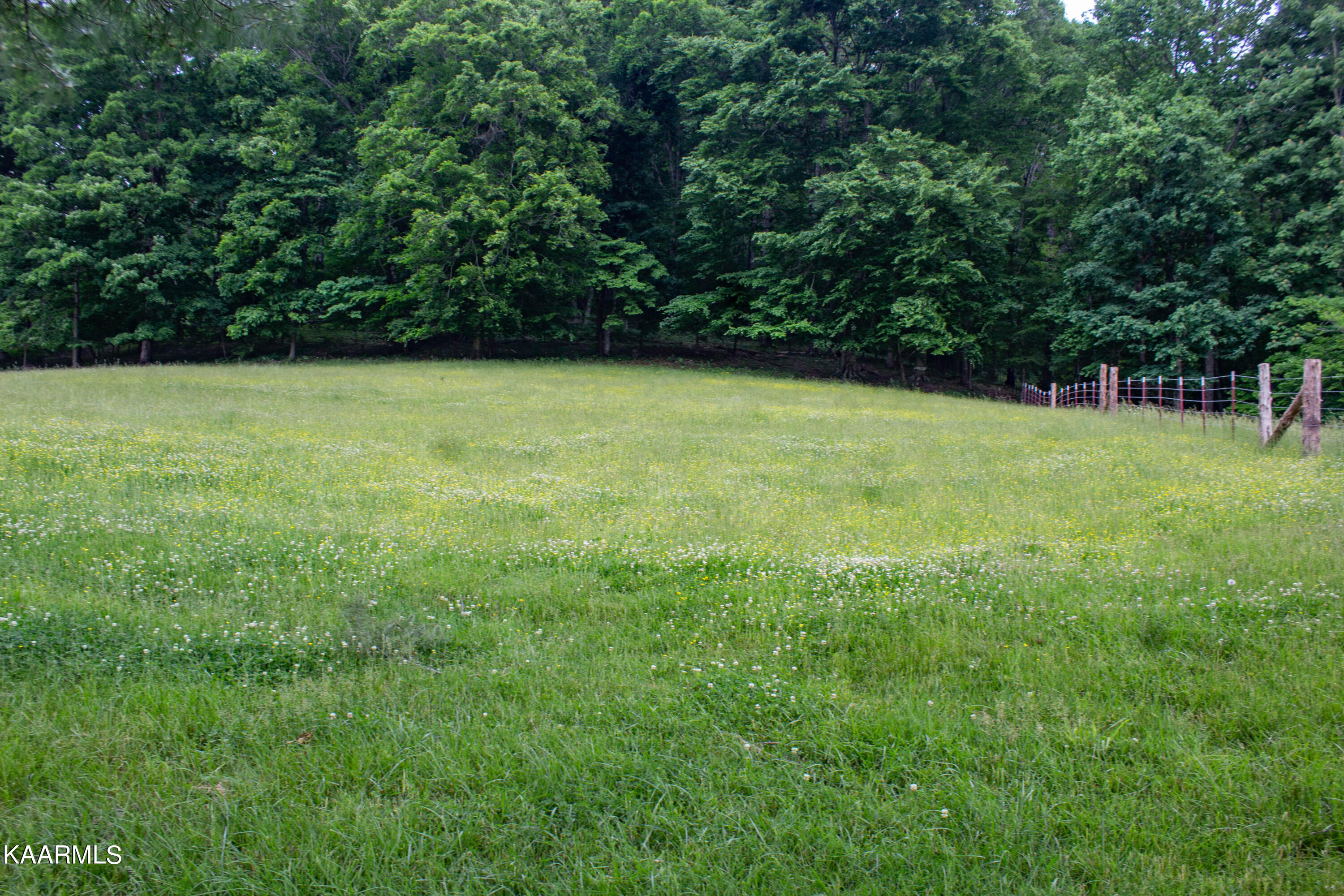 301 Little Valley Road Maynardville, TN 37807 - Photo 8 of 22 IMG_0808