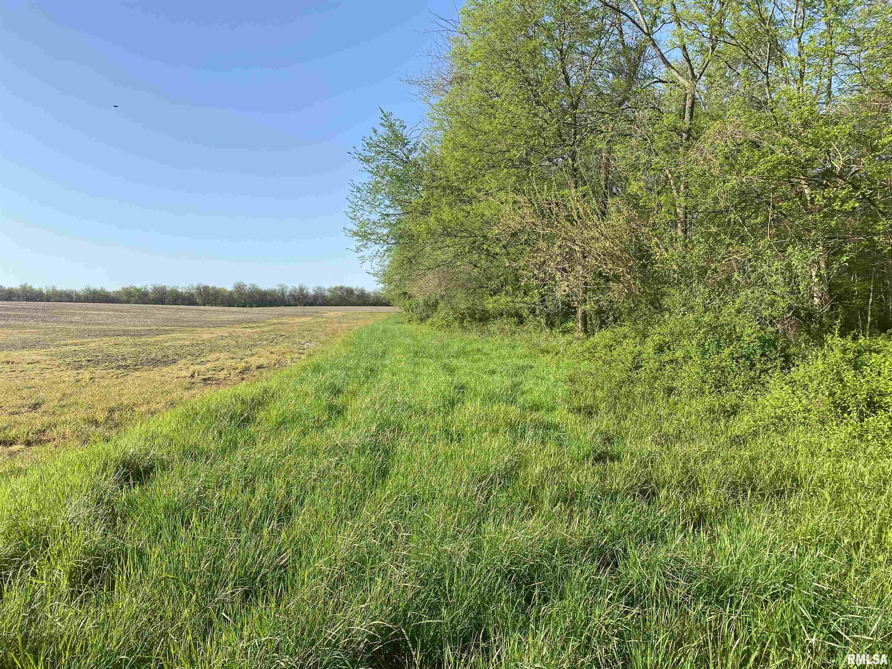 Meridian Road Sandoval, IL 62882 - Photo 3 of 10