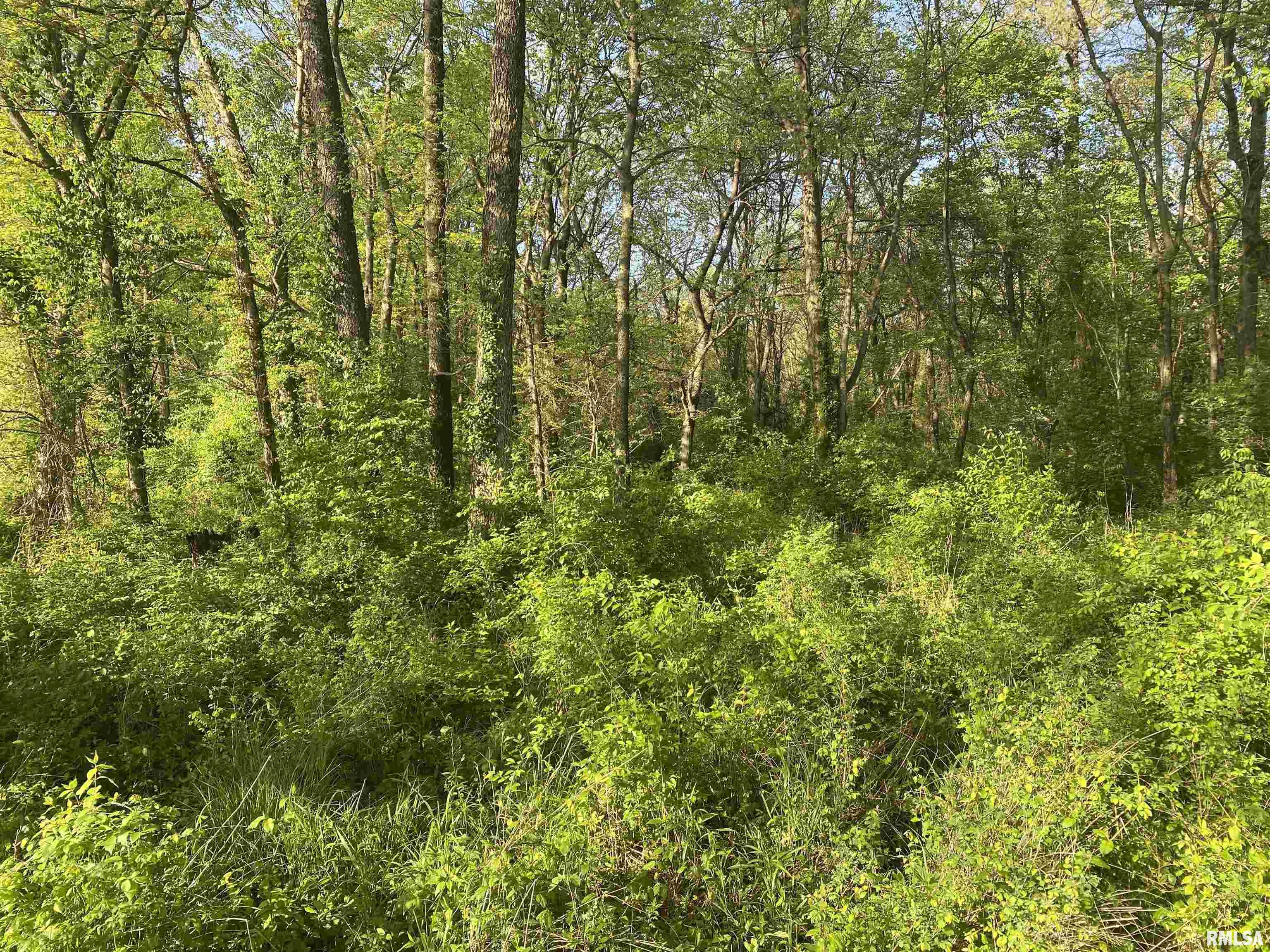 Meridian Road Sandoval, IL 62882 - Photo 5 of 10