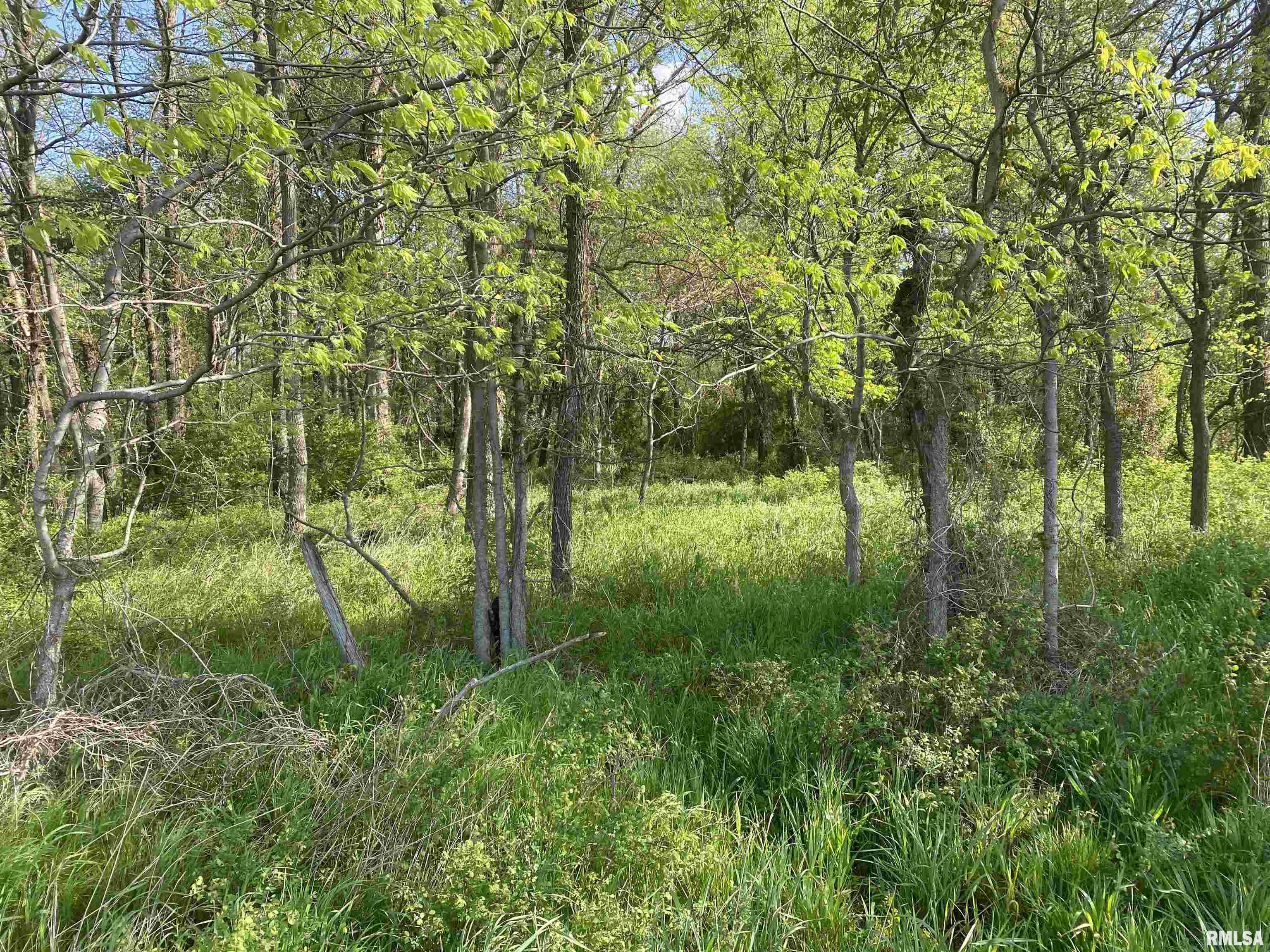 Meridian Road Sandoval, IL 62882 - Photo 6 of 10