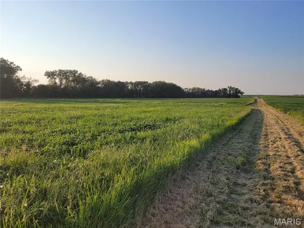 $506,000 | 0 Hwy Dd (46 /- Ac) Tract F Bellflower Mo 63333, Bellflower, MO 63333