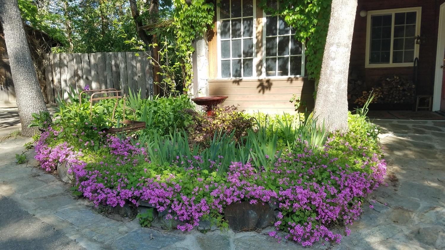 143 Stephen Way Williams, OR 97544 - Photo 2 of 34 Front flower garden