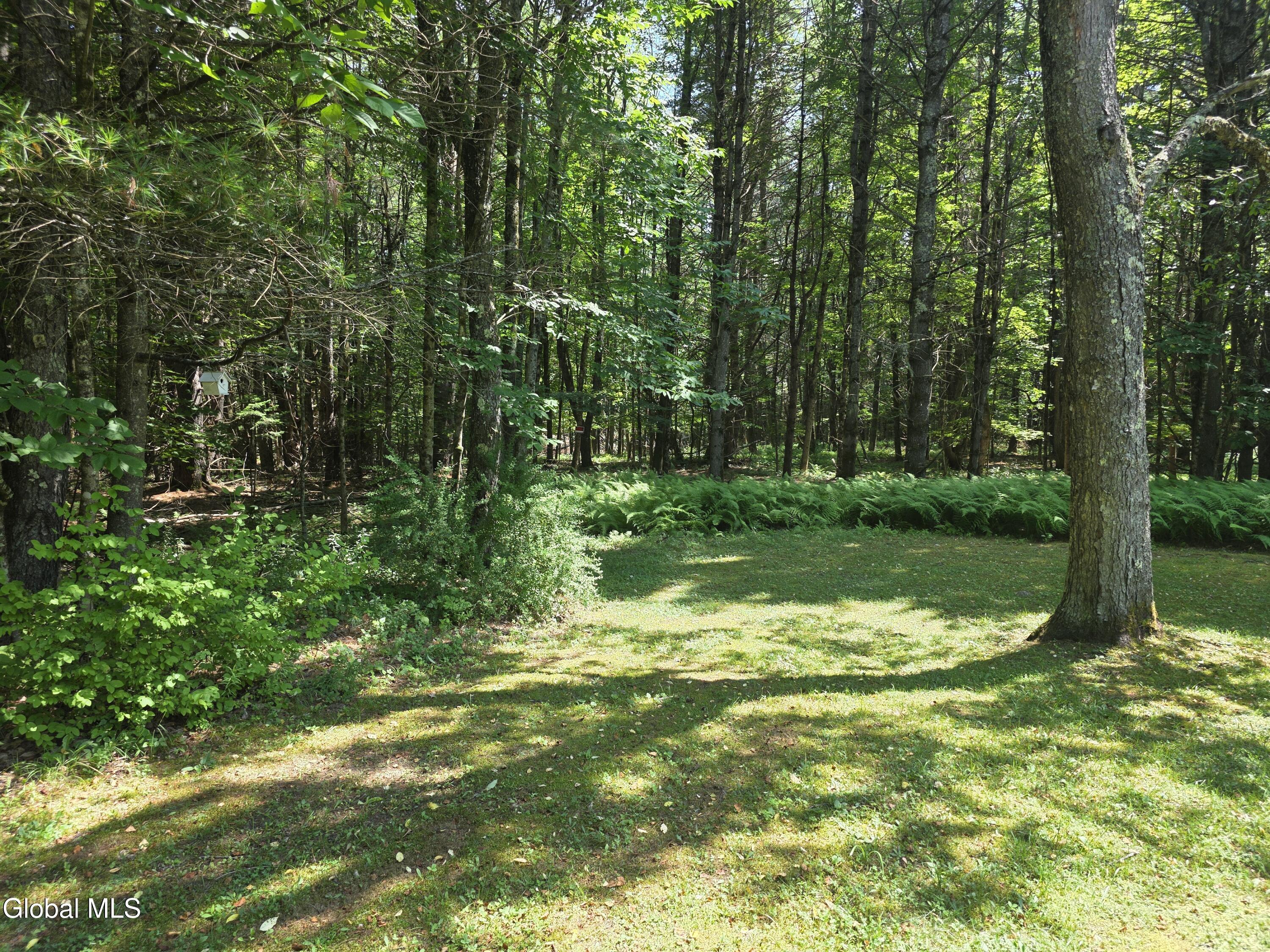 31 Sinclair Road Edinburg, NY 12134 - Photo 32 of 38 20250716_143911