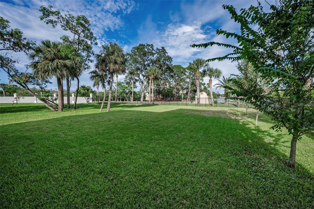 5650 Egrets Place New Port Richey, FL 34652 - Photo 62 of 73 a view of a park with large trees