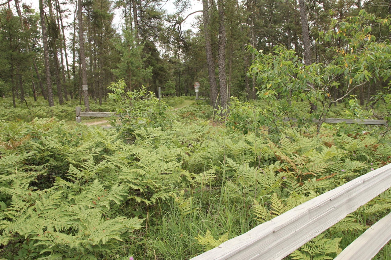 5538 Walsh Road Lewiston, MI 49756 - Photo 25 of 32 Gallery Image 25