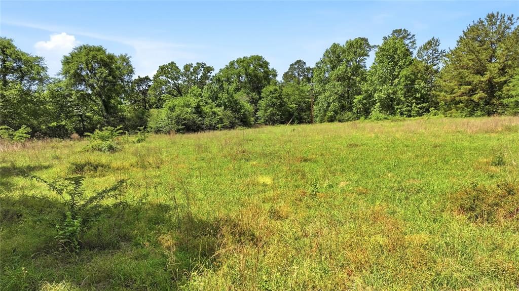 4091 County Road 2206 Rusk, TX 75785 - Photo 5 of 12 a view of a yard with an outdoor space