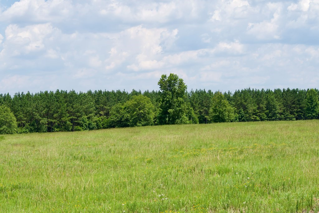 Lot 32 New Bridge Road Aiken, SC 29805 - Photo 6 of 10