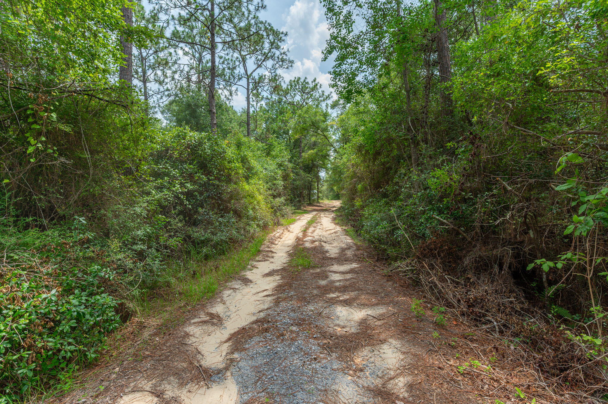 1267 Martin Road DeFuniak Springs, FL 32433 - Photo 49 of 59 48-web-or-mls-1267-martin-rd