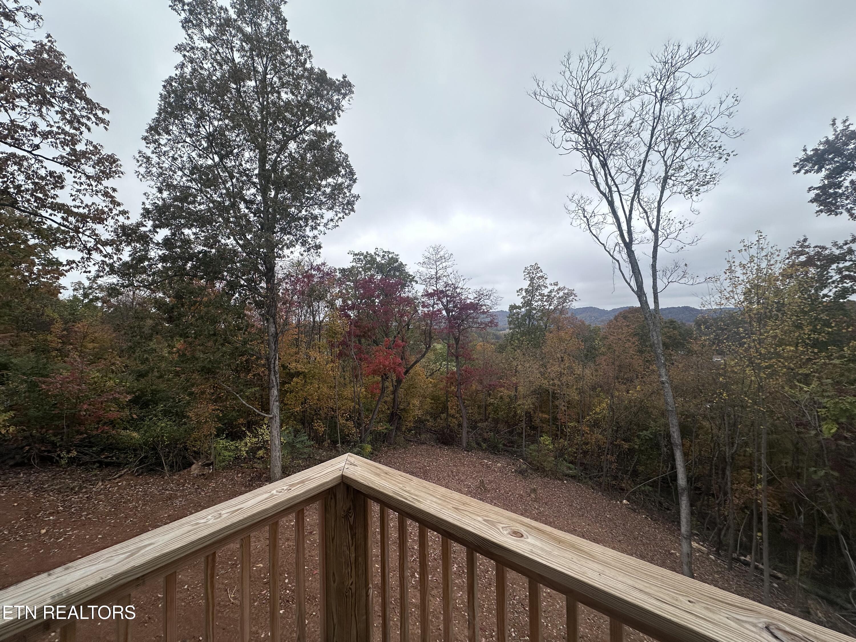 568 Low Valley Road Dandridge, TN 37725 - Photo 18 of 20 IMG_1298