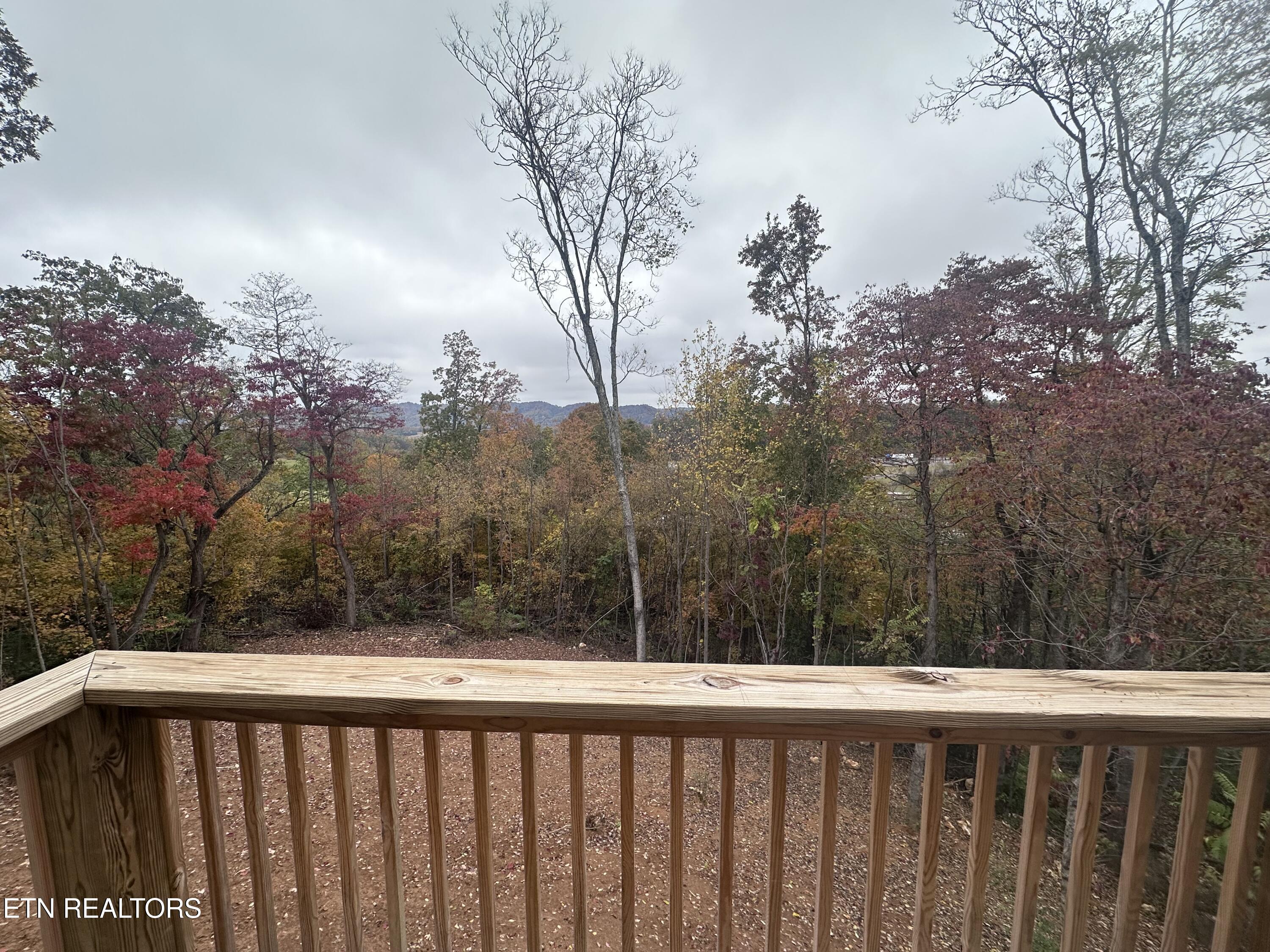 568 Low Valley Road Dandridge, TN 37725 - Photo 19 of 20 IMG_1297