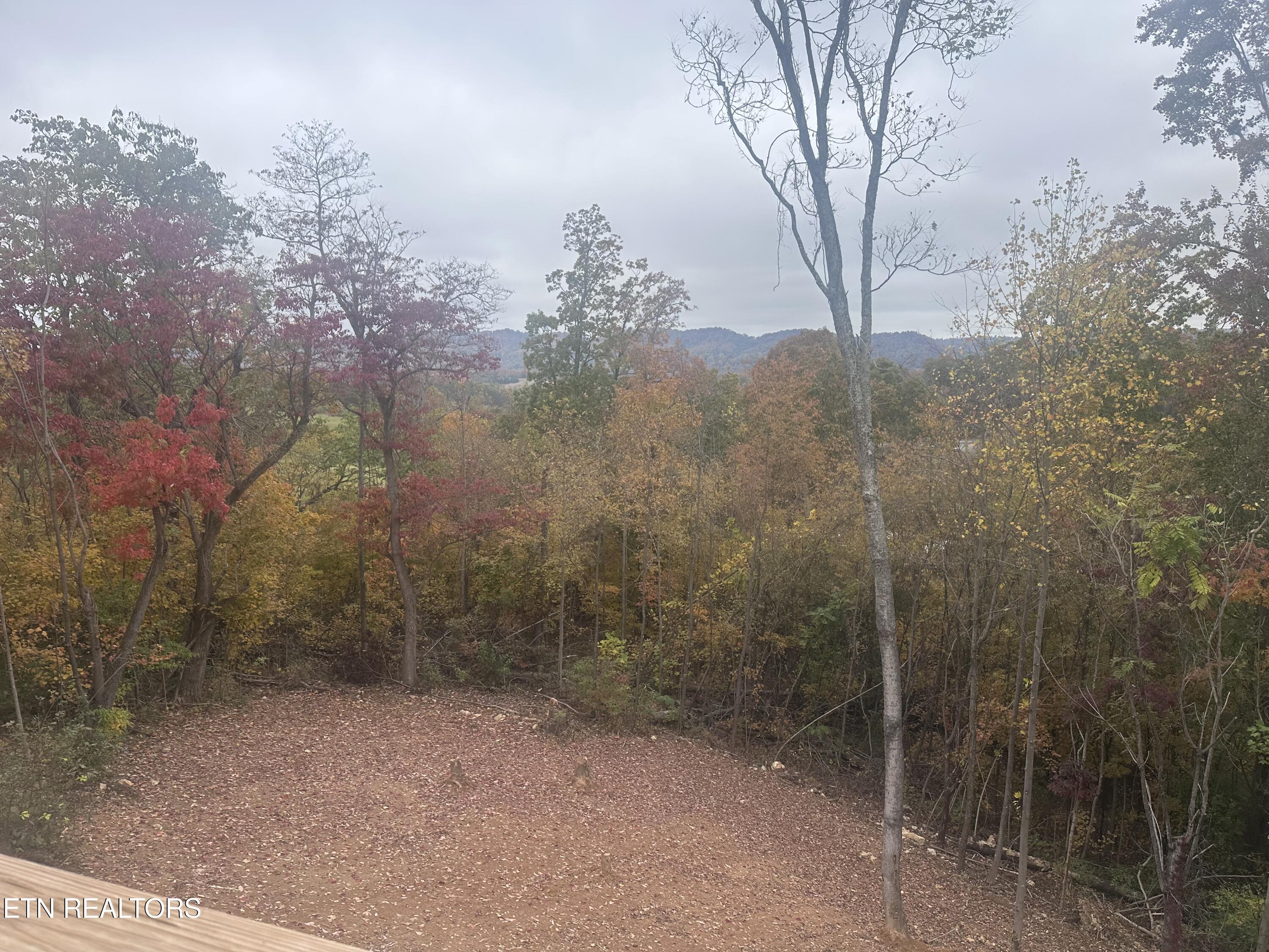 568 Low Valley Road Dandridge, TN 37725 - Photo 20 of 20 IMG_1295
