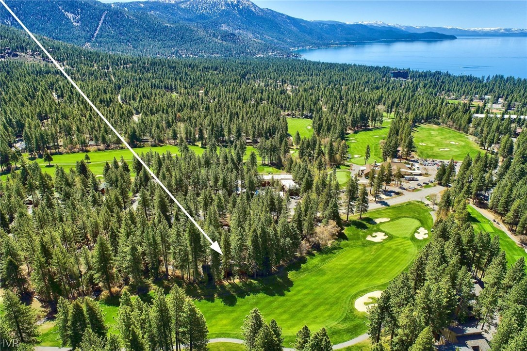 976 Tee Court Incline Village, NV 89451 - Photo 8 of 34 a view of a bunch of plants and trees