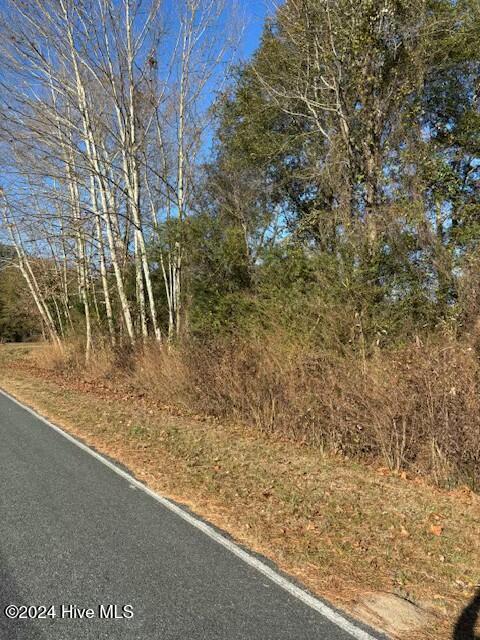 249 Ottis Miller Road Beulaville, NC 28518 - Photo 16 of 18 tempImageo3bSgk