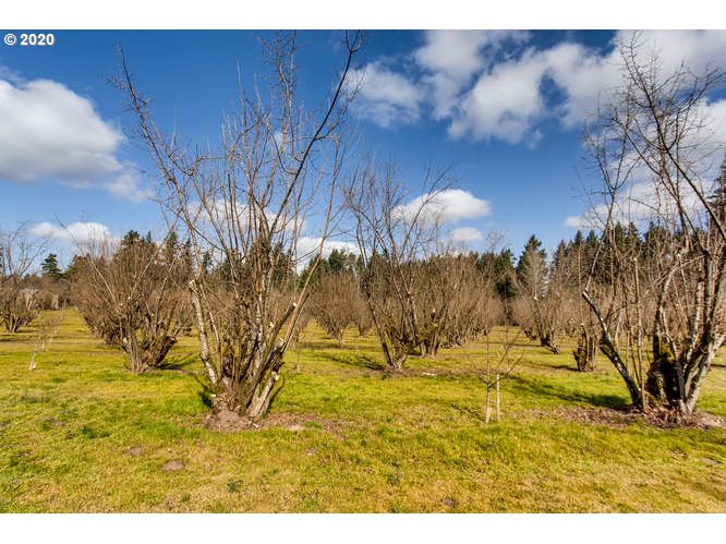 23939 Southwest Rosedale Road Beaverton, OR 97078 - Photo 28 of 28