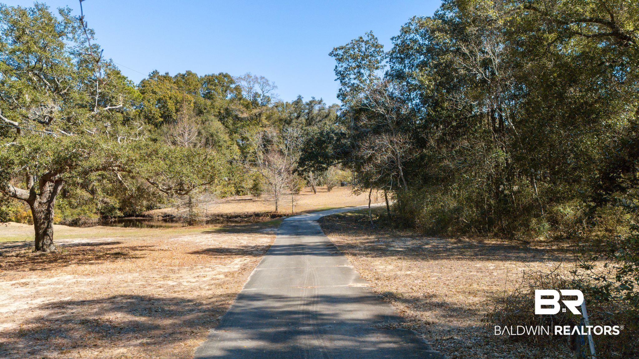 32989 Antietam Road Lillian, AL 36549 - Photo 37 of 56 View of road