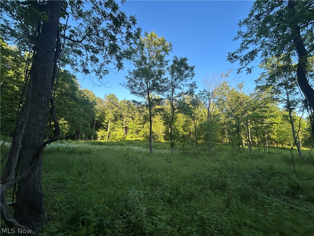 12929 Pleasant Valley Road Northeast Utica, OH 43080 - Photo 31 of 47