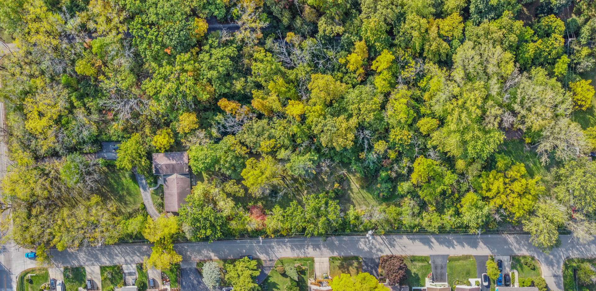 1068 North Hainesville Road Round Lake, IL 60073 - Photo 27 of 31 a view of a yard with plants